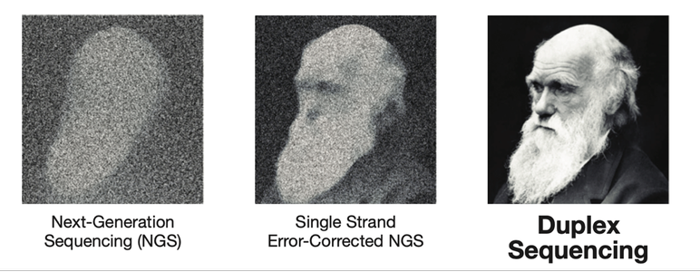 Charles Darwin in three pictures: blurry on the left showing vanilla NGS, in the middle slightly more clear with single-strand error-corrected NGS, and on the right very clear with duplex sequencing. From : Novel DNA Standards for Assessing Technical Sensitivity and Reproducibility Duplex Sequencing Mutagenesis Assays. TwinStrand Biosciences. Retrieved May 20 2024.